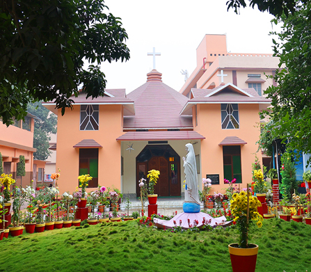 Ooty Landscape